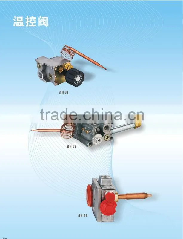 gas heater control valve eruo sit