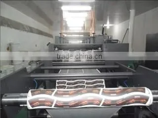 new design Flexo Printing Machine for disposable paper machines