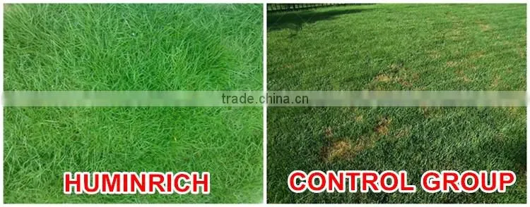 FAQ 15--How To Control Lawn Disease?