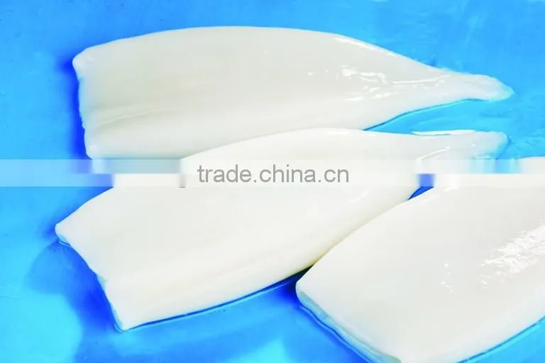 Frozen squid tube todarodas pacificus BQF