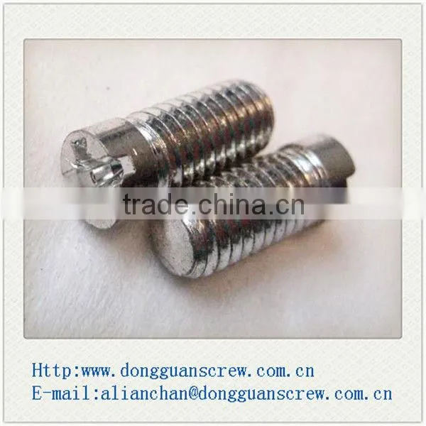 Dongguan Stainless Steel Pan Head machine screw