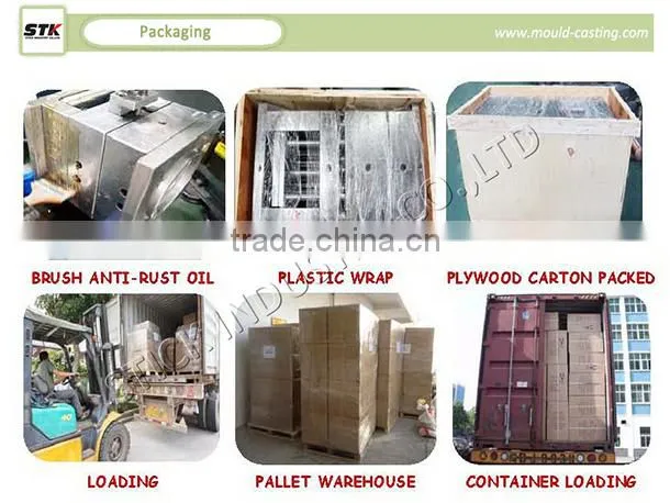 Progressive Metal Pressing Die & Punching Mold
