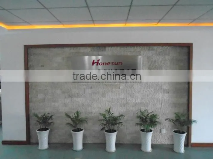 Hangzhou Honesun Magnet Co., Ltd. company overview - view 2