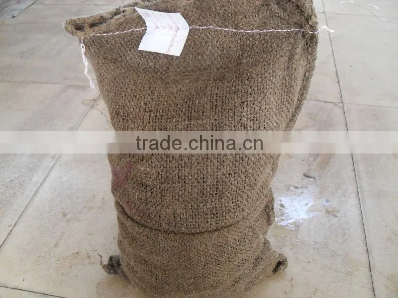 new crop fresh chinese chestnut