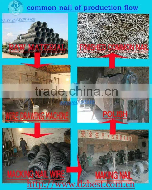1"-4" common wire nails in china
