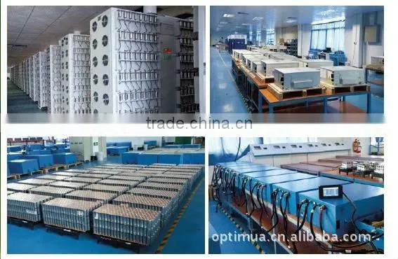 Electric Bike and Electric Bicycle LiFePO4 Battery 48V 10ah