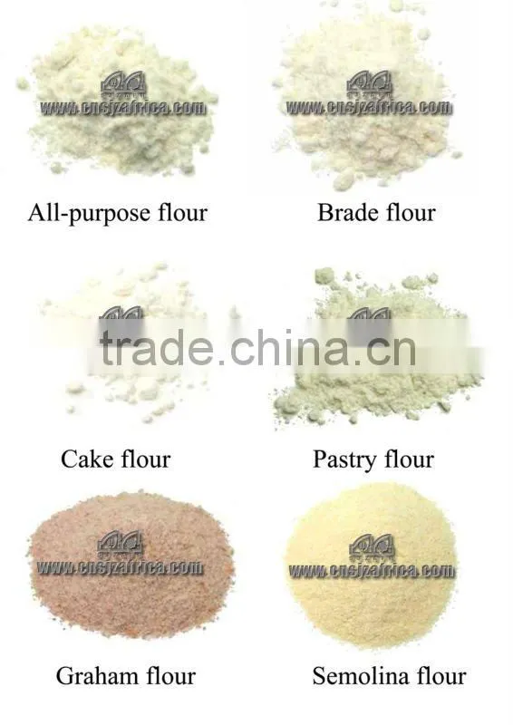 grain color sorter