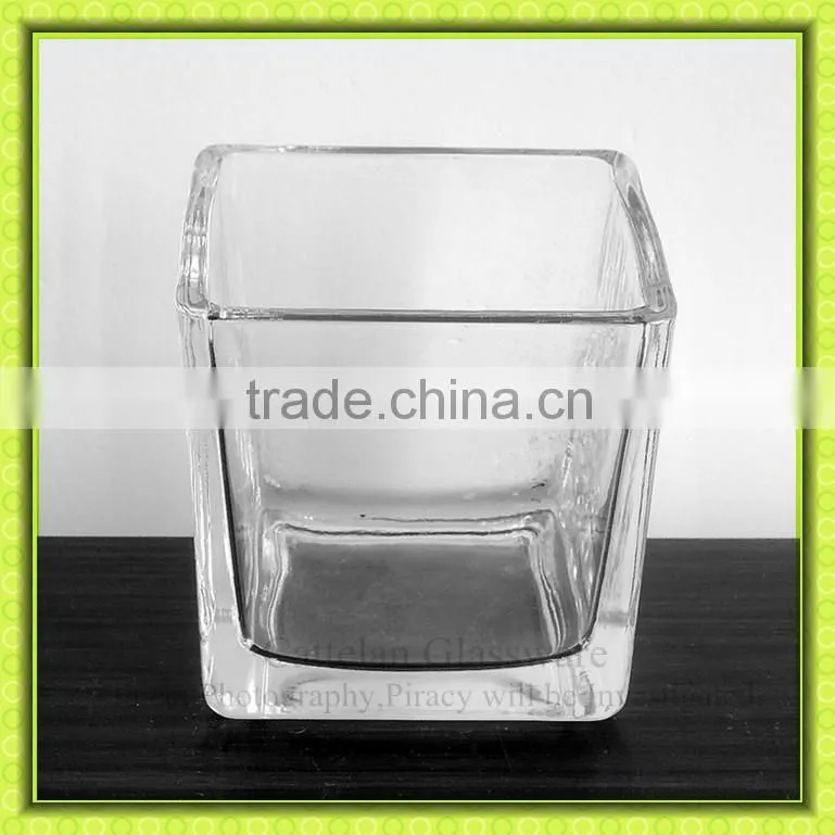 G365 Anhui Cattelan Glassware factory Glass Material Square Vase for Fresh Flower for Home decoration