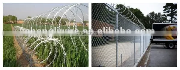 concertina razor barbed wire mesh fence CBT-65