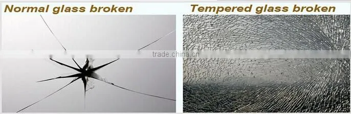 frameless glass fence/handrails with tempered glass fence panel for swimming pool