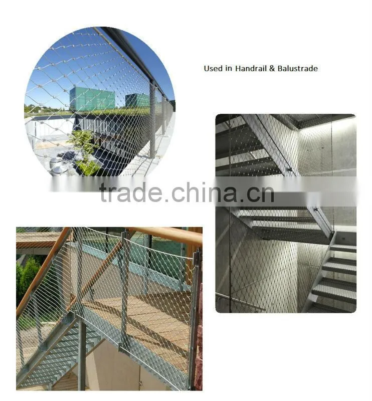 Anping stainless steel Zoo Aviary Mesh