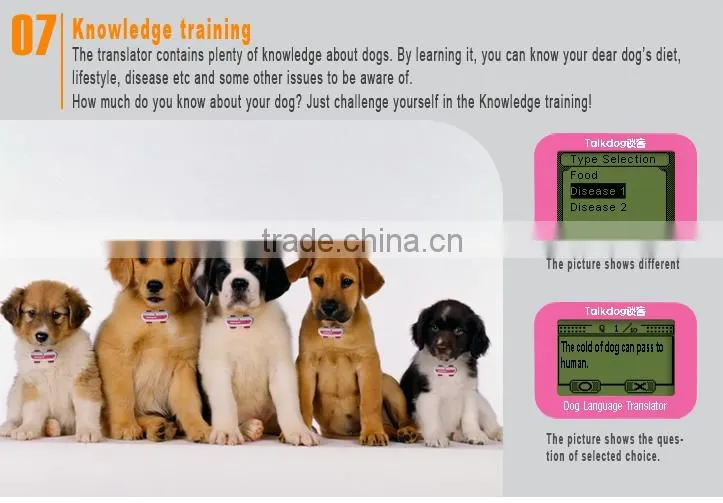 Clever Dog Electronic Pet Training Product(Portuguese version)