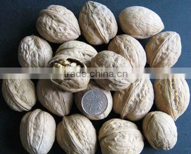 2012 new walnuts crop
