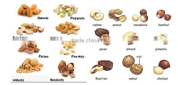 Stainless Steel 304 - Cashew Nuts Processing Line, Stainless Steel 304 - Nut Machines