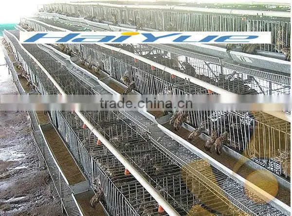 Battery Cage Quail
