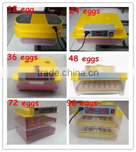 TD-48 full automatic mini incubator for parrot