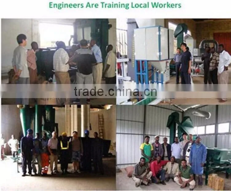Grain Seed Treating Machine/ Seed Coating Machine