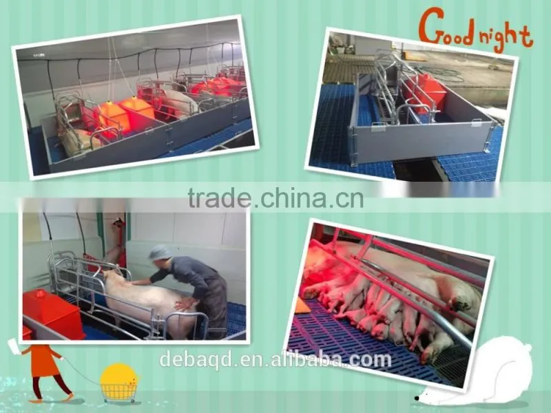 pig use breeding crate pig equipment for farrowing pig breeding pen