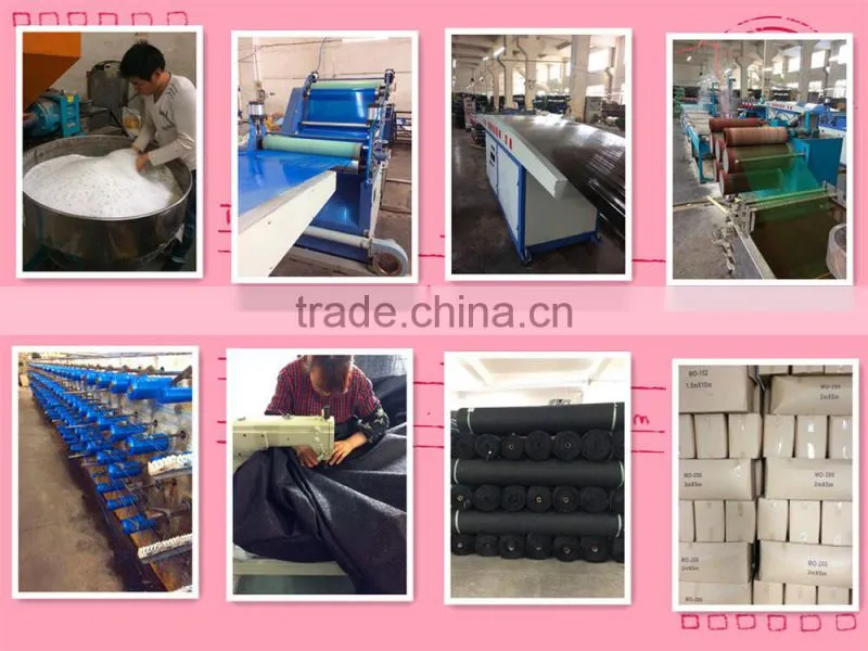scaffold safety net
