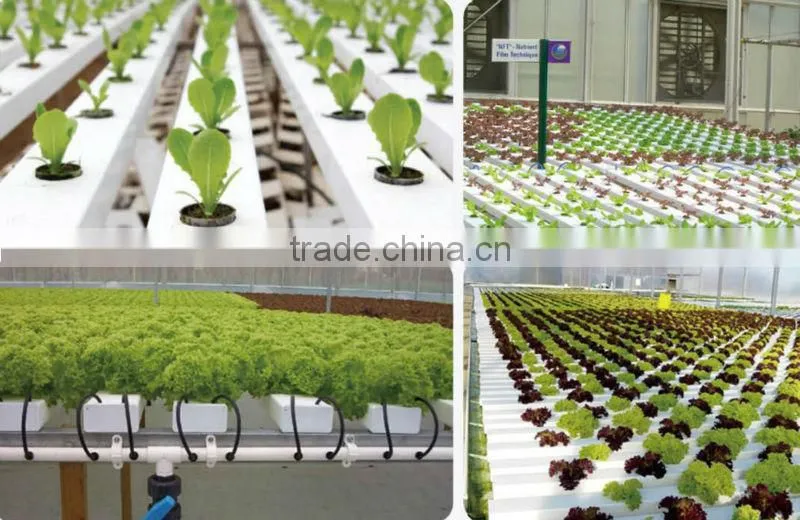 100x50mm NFT Hydroponics for Greenhouse