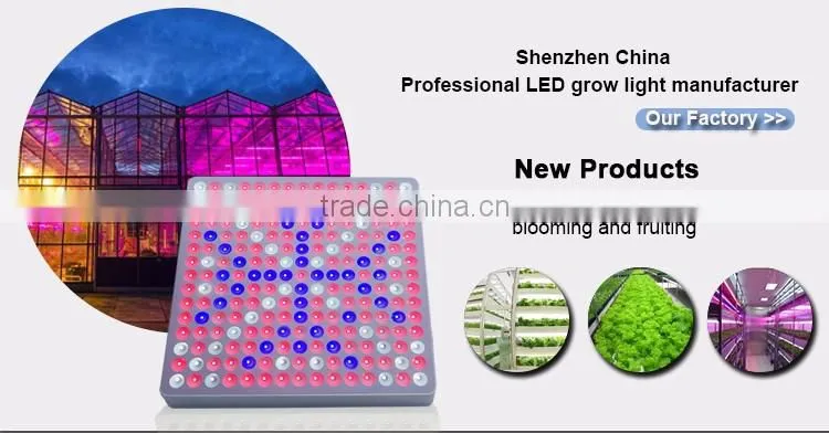 45W Waterproof Led Panel Light,Aeroponics Led Grow Light