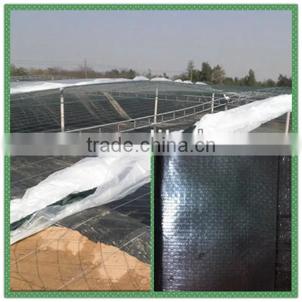 Heavy duty 2mm high density polythene plastic woven dam geomembrane/flexible UV resistance waterproof pool liner in Philippines