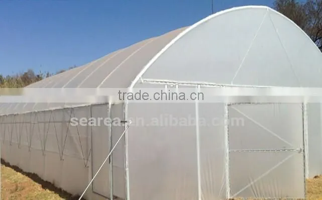 Hot sale single-span plastic greenhouse for agriculture