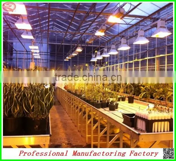 plastic film commercial greenhouse for tomatoes with arched type