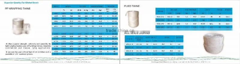 Polyester ropes for boat rigging and dock lines