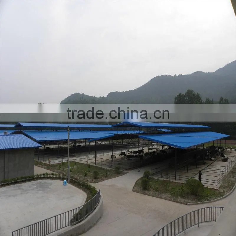 Prefab Steel Livestock Farm