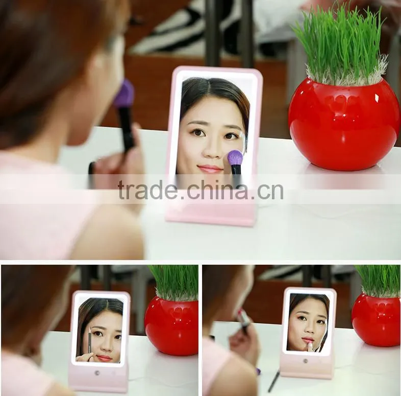 USB Desktop Makeup Mirror With LED Lamp/ Portable Mist Spray Apparatus