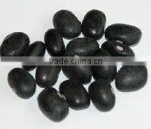 organic beans