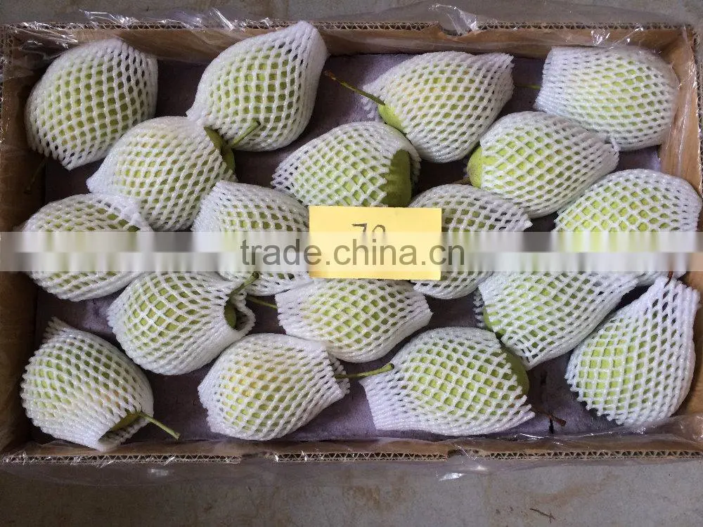 Good Qulity Fresh Shandong Pear Export To India