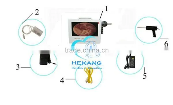portable animal hospital otoscope