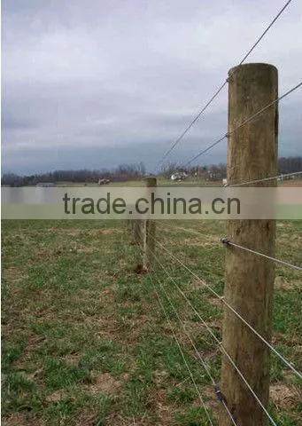 High Tensile Hot Dipped Galvanized Oval Wire ,Oval steel wire, cattle fence wire ,Ellipse wire, Oval shape wire