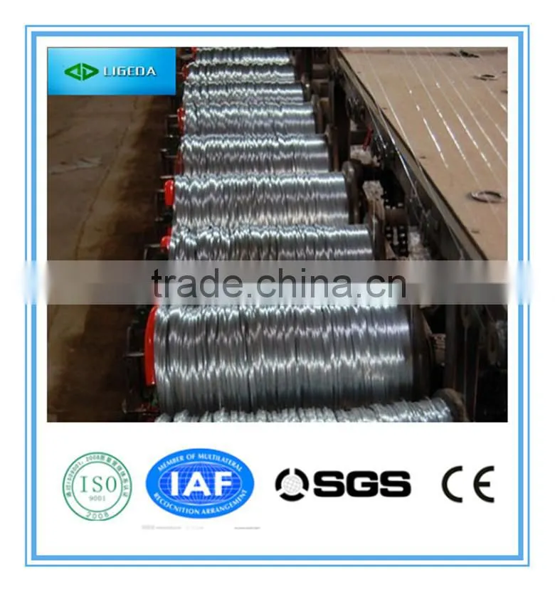 lower price electro galvanized wire/galvanized iron wire hot sale/factory
