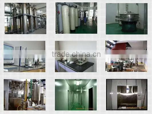 best factory supplier 100% Pure kelp extract Kelp Extract 4:1 Fucoidan 40%-95% HPLC/Kelp