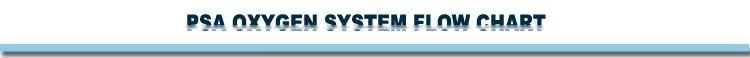 Oxygen filling plant PSA Oxygen Generator industry manufacture