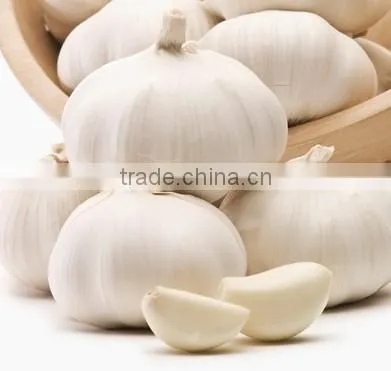 2016FRESH GARLIC