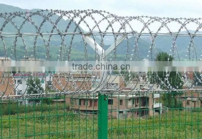 Galvanized Concertina Razor Wire