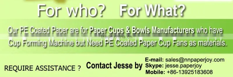 pe coated paper in sheet