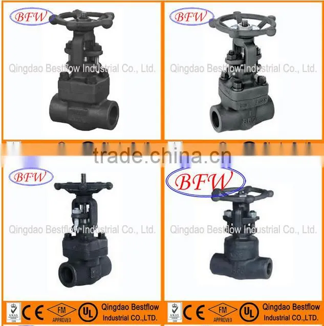 High pressure 800LB internal thread gate valve