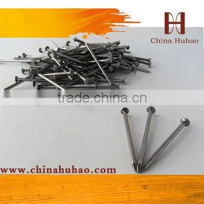 polished common nail building nails wire nail Smooth shanknails fasteners hebei