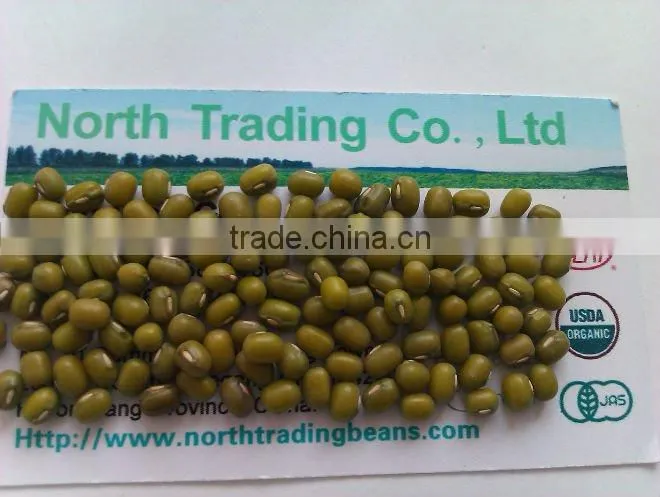 Organic Green Mung Bean( 2010 Crop, Heilongjiang Origin. Hps quality)