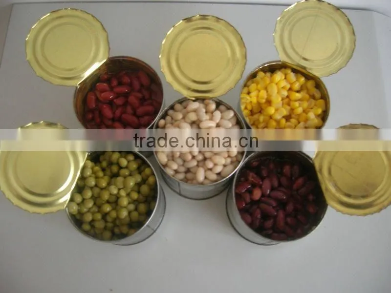 canned dark red kidney beans in brine