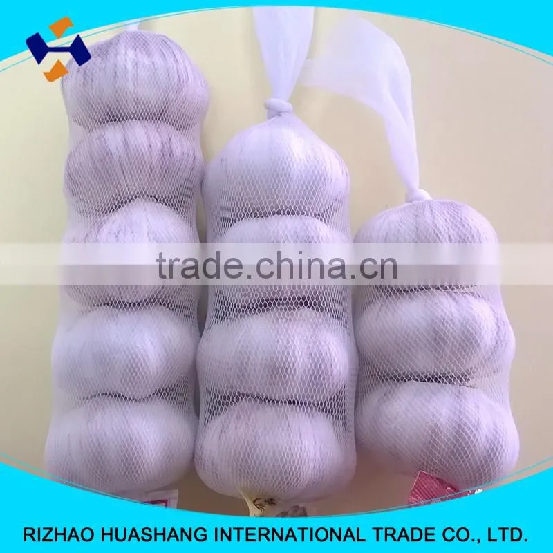 good quality normal white fresh garlic size5.5cm