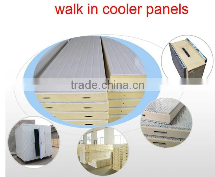Thawing Machine/Defrosting Equipment