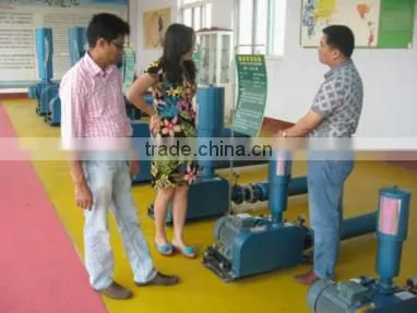 High pressure ring blower vacuum air pump