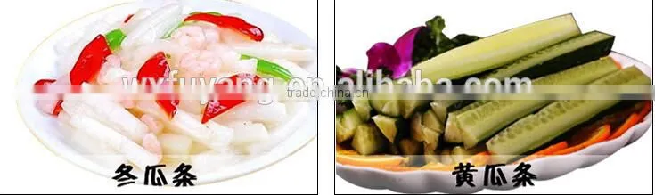 High grade factory direct sale vegetable strip cutting machine , vegetable cutter