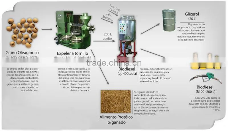 biodiesel oil plant making machine